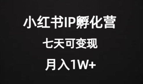 价值2000+的小红书IP孵化营项目，超级大蓝海，七天即可开始变现，稳定月入1W+-第一资源站