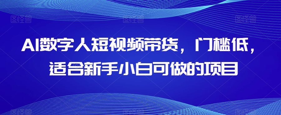 AI数字人短视频带货，门槛低，适合新手小白可做的项目-第一资源站