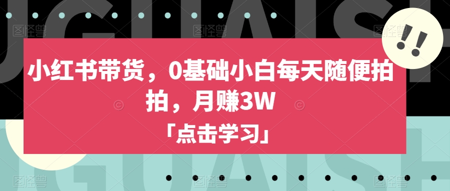小红书带货，0基础小白每天随便拍拍，月赚3W【揭秘】-第一资源站