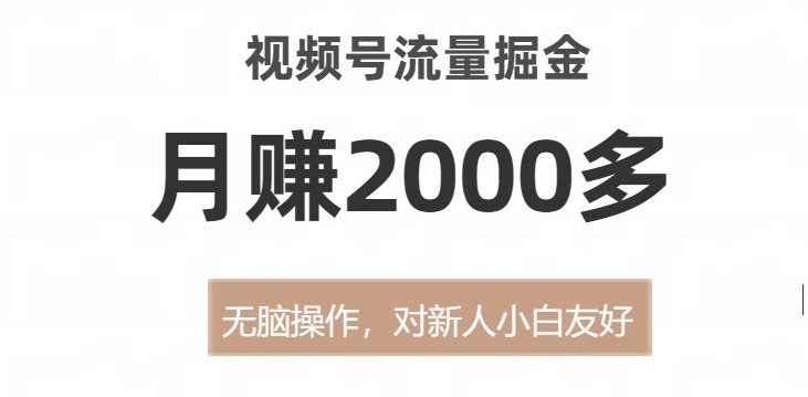 视频号流量掘金，无脑操作，对新人小白友好，月赚2000多【揭秘】-第一资源站