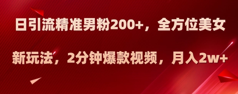 日引流精准男粉200+，全方位美女新玩法，2分钟爆款视频，月入2w+【揭秘】-第一资源站