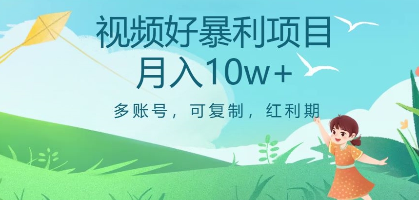 视频号暴利项目，多账号，可复制，红利期，月入10w+【揭秘】-第一资源站