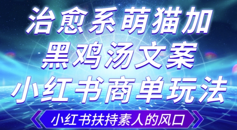 治愈系萌猫加+黑鸡汤文案，小红书商单玩法，3~10天涨到1000粉，一单200左右-第一资源站