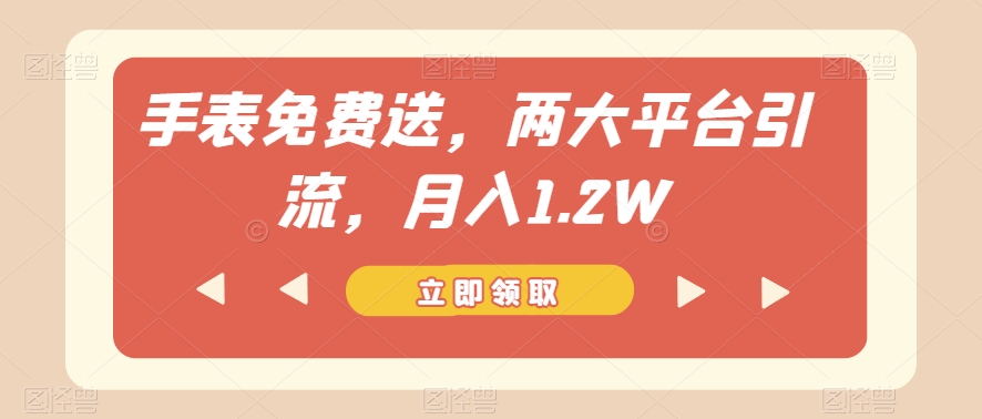 手表免费送，两大平台引流，月入1.2W【揭秘】-第一资源站