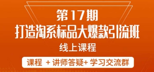 南掌柜-第17期打造淘系标品大爆款，5天线上课-第一资源站