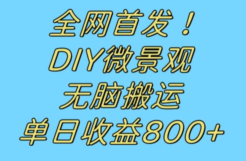 全网首发冷门赛道！DIY微景观，无脑搬运视频，日收益800+【揭秘】-第一资源站