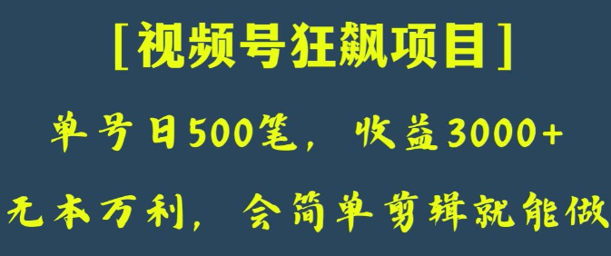 日收款500笔，纯利润3000+，视频号狂飙项目，会简单剪辑就能做【揭秘】-第一资源站