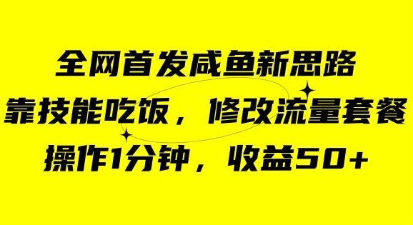 咸鱼冷门新玩法，靠“技能吃饭”，修改流量套餐，操作1分钟，收益50【揭秘】-第一资源站
