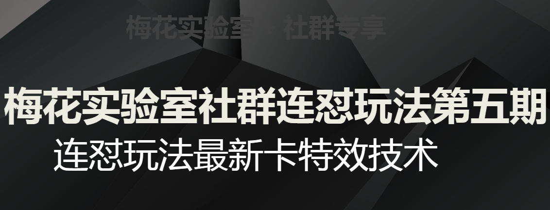梅花实验室社群连怼玩法第五期，视频号连怼玩法最新卡特效技术-第一资源站