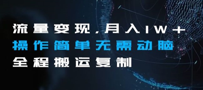 流量变现，月入1W+操作简单无需动脑全程搬运复制【揭秘】-第一资源站