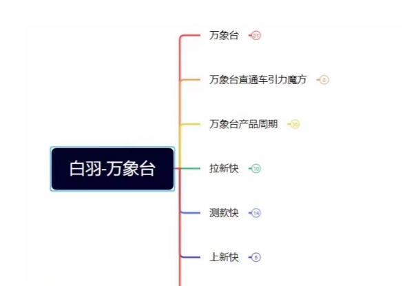 白羽·直引万搜索全篇，从0-1，多个类目实操经验总结付费-第一资源站