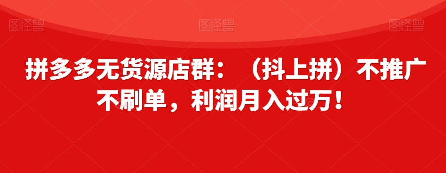 拼多多无货源店群：（抖上拼）不推广不刷单，利润月入过万！【揭秘】-第一资源站