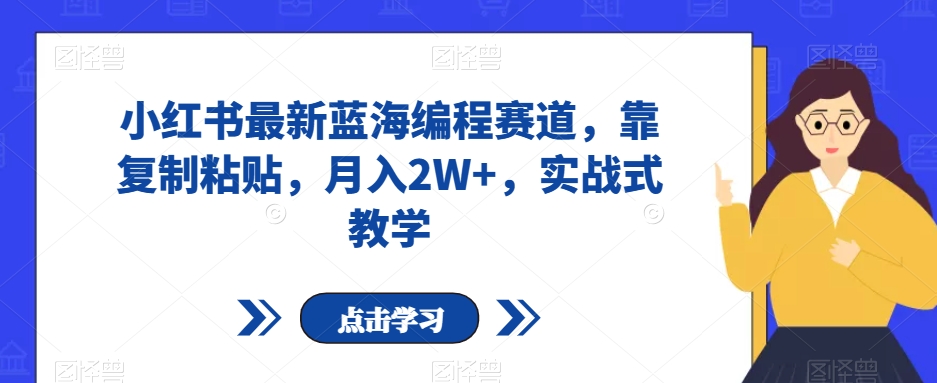 小红书最新蓝海编程赛道，靠复制粘贴，月入2W+，实战式教学【揭秘】-第一资源站