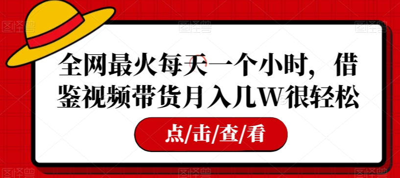 全网最火每天一个小时，借鉴视频带货月入几W很轻松【揭秘】-第一资源站