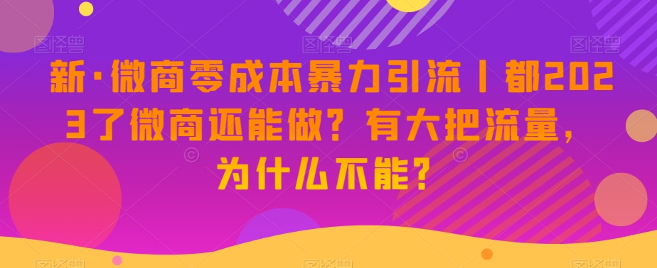 新·微商零成本暴力引流丨都2023了微商还能做？有大把流量，为什么不能？-第一资源站