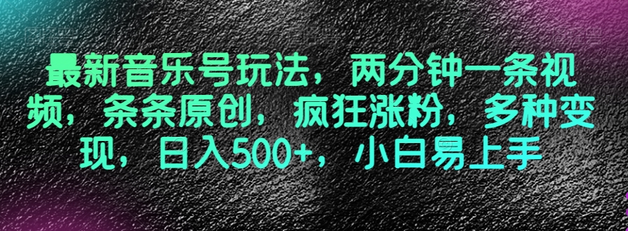 最新音乐号玩法，两分钟一条视频，条条原创，疯狂涨粉，多种变现，日入500+，小白易上手【揭秘】-第一资源站