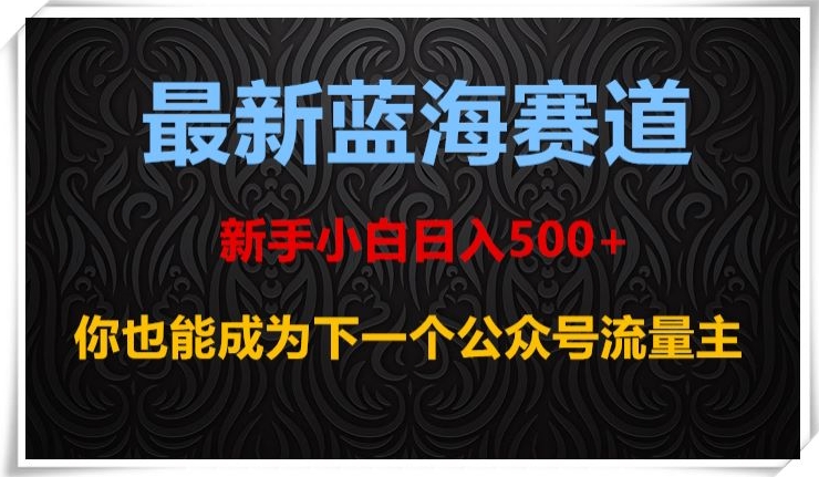 最新蓝海赛道，新手小白日入500+，你也能成为下一个公众号流量主【揭秘】-第一资源站