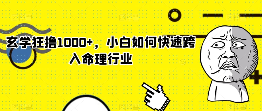 玄学狂撸1000+，小白如何快速跨入命理行业【揭秘】-第一资源站