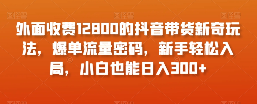 外面收费12800的抖音带货新奇玩法，爆单流量密码，新手轻松入局，小白也能日入300+【揭秘】-第一资源站