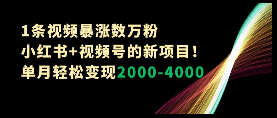 1条视频暴涨数万粉–小红书+视频号的新项目！单月轻松变现2000-4000【揭秘】-第一资源站