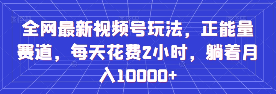 全网最新视频号玩法，正能量赛道，每天花费2小时，躺着月入10000+【揭秘】-第一资源站