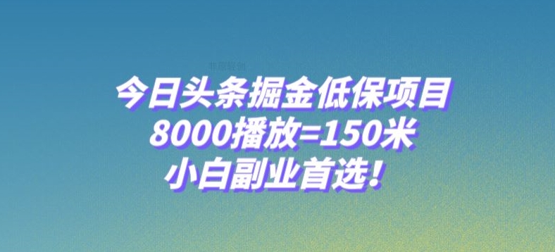 今日头条掘金低保项目，8000播放=150米，小白副业首选【揭秘】-第一资源站