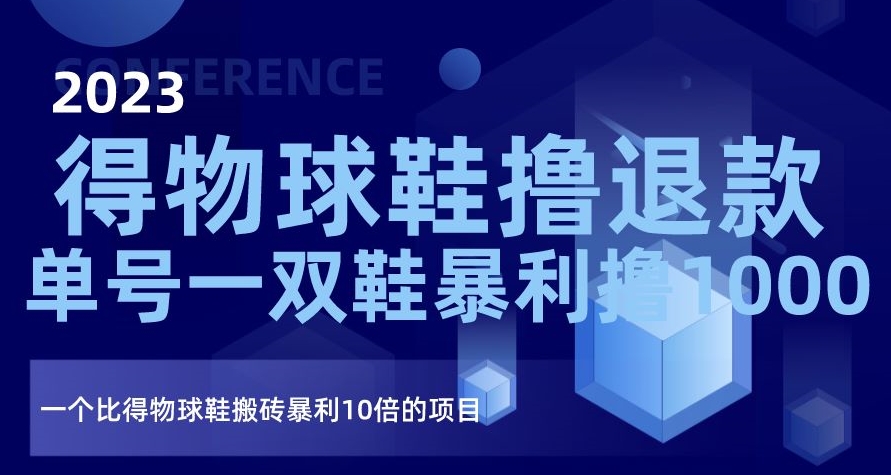 2023得物球鞋撸退款，单号一双鞋暴利撸1000，一个比得物球鞋搬砖暴利10倍的项目【揭秘】-第一资源站