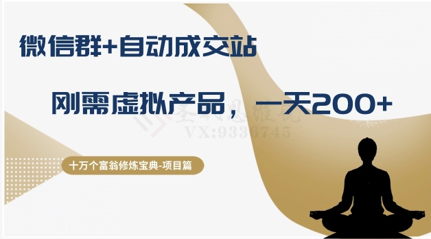 十万个富翁修炼宝典之8.微信群+自动成交站，刚需虚拟产品，一天200+-第一资源站