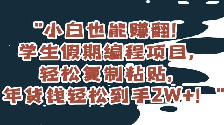小白也能赚翻！学生假期编程项目，轻松复制粘贴，年货钱轻松到手2W+【揭秘】-第一资源站