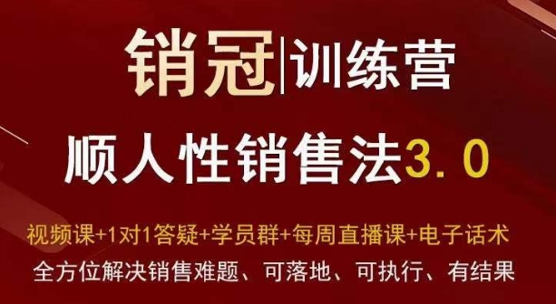 爆款！销冠训练营3.0之顺人性销售法，全方位解决销售难题、可落地、可执行、有结果-第一资源站
