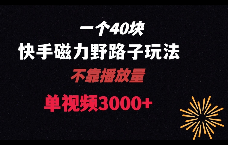 一个40块，快手联合美团磁力新玩法，无视机制野路子玩法，单视频收益4位数【揭秘】-第一资源站