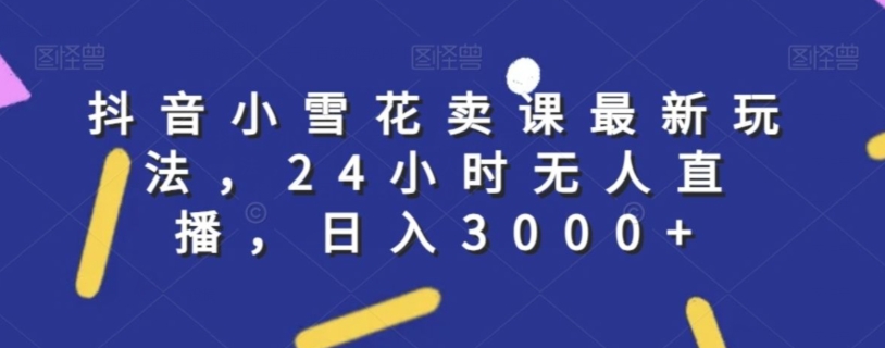 抖音小雪花卖课最新玩法，24小时无人直播，日入3000+【揭秘】-第一资源站