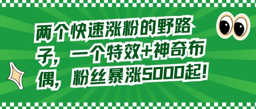 两个快速涨粉的野路子，一个特效+神奇布偶，粉丝暴涨5000起【揭秘】-第一资源站
