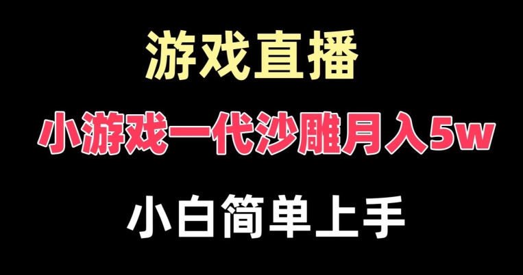玩小游戏一代沙雕月入5w，爆裂变现，快速拿结果，高级保姆式教学【揭秘】-第一资源站