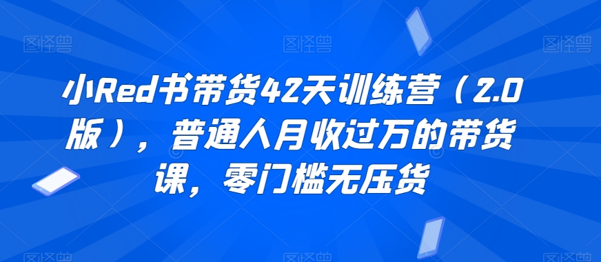 小Red书带货42天训练营（2.0版），普通人月收过万的带货课，零门槛无压货-第一资源站