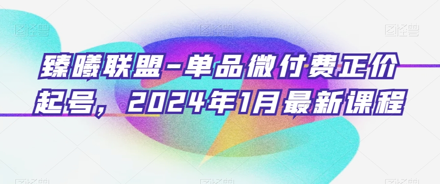 臻曦联盟-单品微付费正价起号，2024年1月最新课程-第一资源站