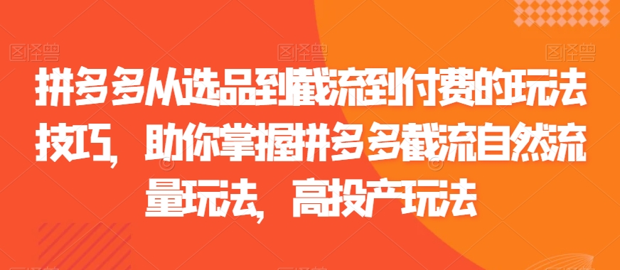 拼多多从选品到截流到付费的玩法技巧，助你掌握拼多多截流自然流量玩法，高投产玩法-第一资源站