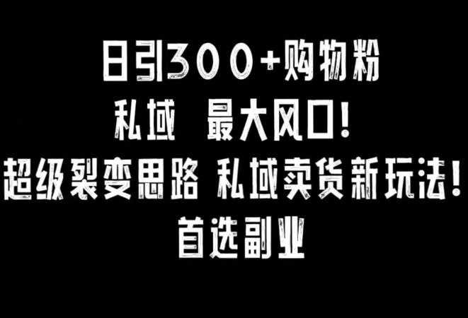 日引300+购物粉，超级裂变思路，私域卖货新玩法，小红书首选副业【揭秘】-第一资源站