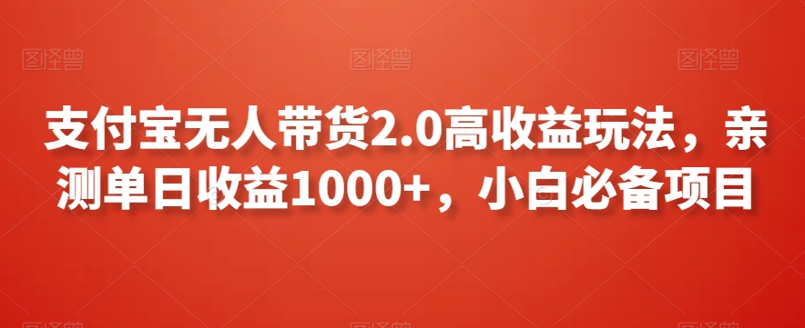 支付宝无人带货2.0高收益玩法，亲测单日收益1000+，小白必备项目【揭秘】-第一资源站