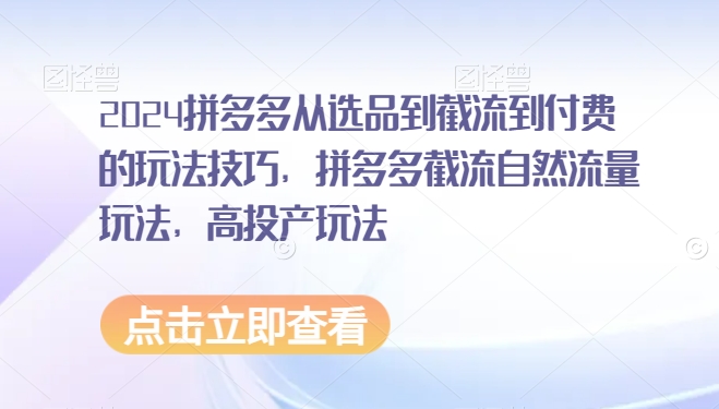 2024拼多多从选品到截流到付费的玩法技巧，拼多多截流自然流量玩法，高投产玩法-第一资源站