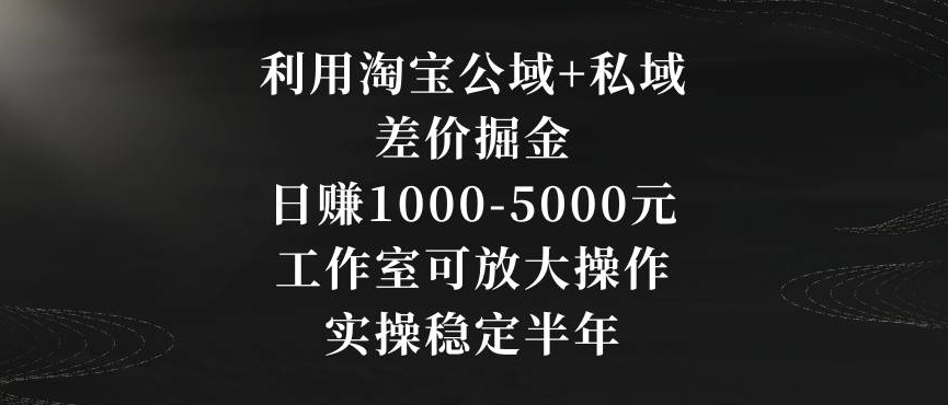 利用淘宝公域+私域差价掘金，日赚1000-5000元，工作室可放大操作，实操稳定半年【揭秘】-第一资源站
