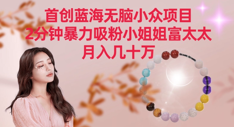 首创蓝海无脑小众项目，2分钟暴力吸粉小姐姐富太太，月入几十万【揭秘】-第一资源站