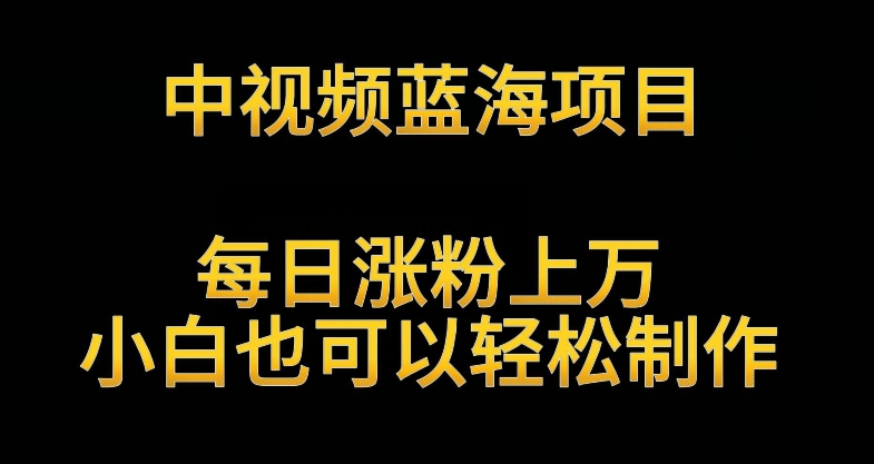 中视频蓝海项目，解读英雄人物生平，每日涨粉上万，小白也可以轻松制作，月入过万不是梦【揭秘】-第一资源站