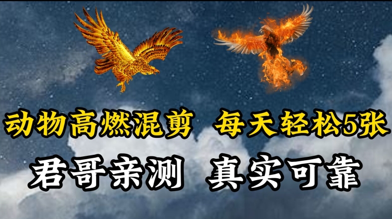 动物超燃混剪，每天轻松5张，剪辑简单大家爱看【揭秘】-第一资源站