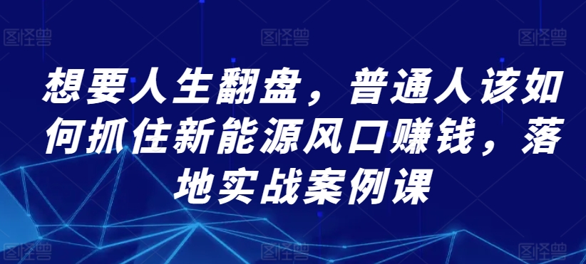 想要人生翻盘，普通人该如何抓住新能源风口赚钱，落地实战案例课-第一资源站
