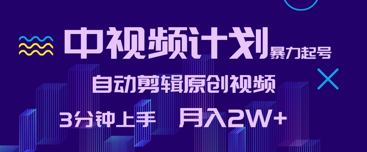 中视频计划暴力起号，自动剪辑原创视频，3分钟上手，月入2W+【揭秘】-第一资源站