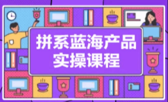 拼系冷门蓝海产品实操课程，从注册店铺到选品上架到流量维护环环相扣-第一资源站