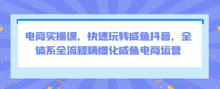 电商实操课，快速玩转咸鱼抖音，全体系全流程精细化咸鱼电商运营-第一资源站