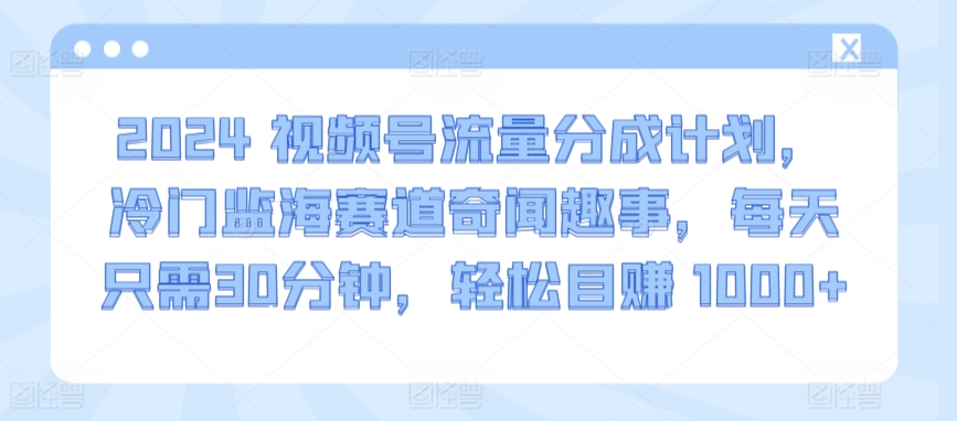 2024视频号流量分成计划，冷门监海赛道奇闻趣事，每天只需30分钟，轻松目赚 1000+【揭秘】-第一资源站