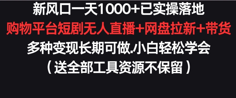 新风口一天1000+已实操落地购物平台短剧无人直播+网盘拉新+带货多种变现长期可做【揭秘】-第一资源站